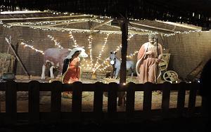 2025 12 02 SANARY SUR MER - PROMEDADE  AMBIANCE NOEL (55)